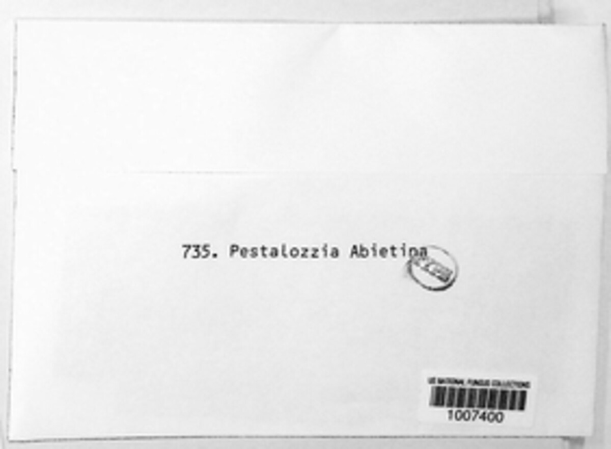 Pestalotia abietina image
